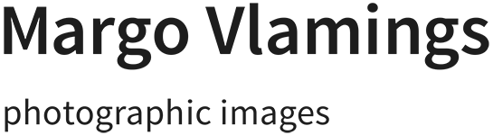 Margo Vlamings
